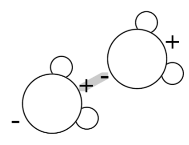 <p>relatively weak electrostatic forces between oppositely charged ends of adjacent water molecules </p>