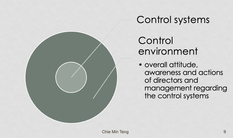 <p>The overall attitude, awareness and actions of directors and management regarding the control systems.</p><p></p>