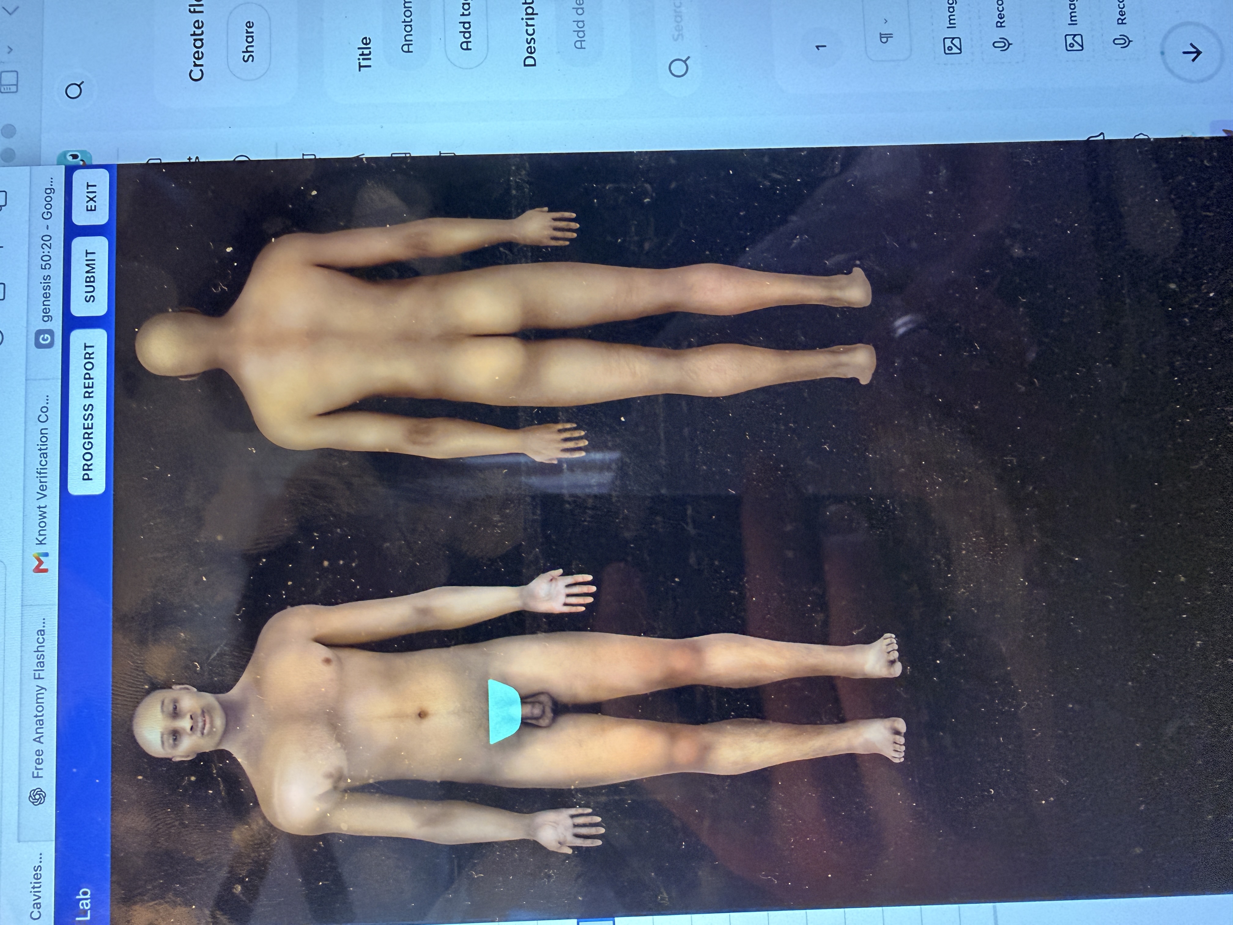 knowt flashcard image
