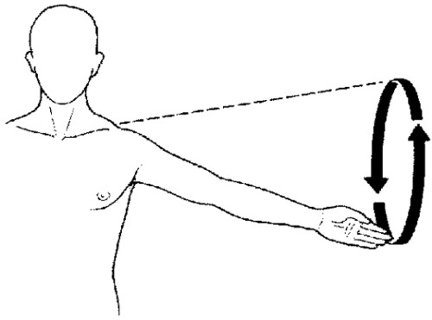 <p>Moving a limb or finger so that it describes a cone in space. This is a complex movement that combines flexion, abduction, extension, and adduction in succession.</p><p>Example: The movement of the arm at the shoulder joint in a circular motion</p>