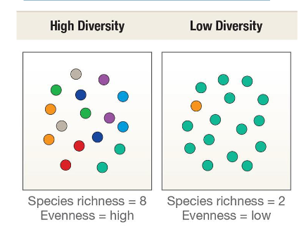 <p>includes both species richness and the relative abundance of those species</p>