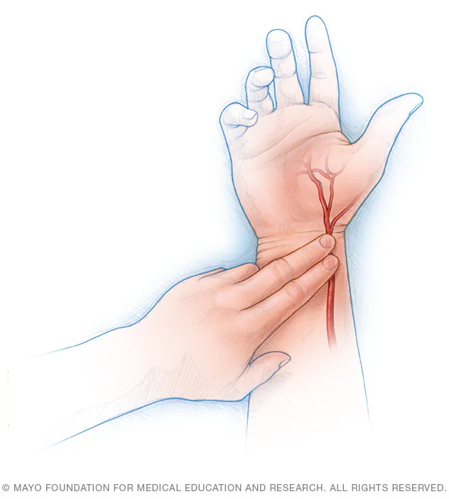 <p>pulse</p>