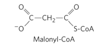 <p>How do we go from acetyl-CoA to malonyl-CoA?</p>