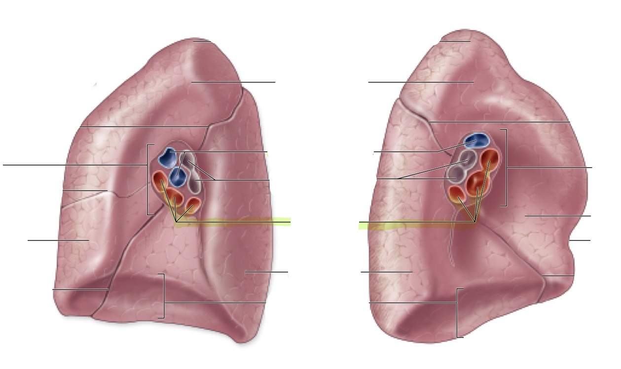 <p>what is this </p>