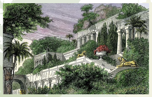 <ul><li><p>“Hanging Gardens of Babylon”</p><ul><li><p>One of the 7 wonders of the world</p></li></ul></li><li><p>Early Egyptians described transplanting trees with balls of soil in 2000 BC</p></li><li><p>In 13AD, Kublia Khan required tree planting all public roads in and around Beijing for shade and to mark them in the snow</p><ul><li><p>The regulation stated that trees be planted only two paces apart</p></li><li><p>Trees are still planted close together in Beijing</p></li></ul></li></ul><p></p>