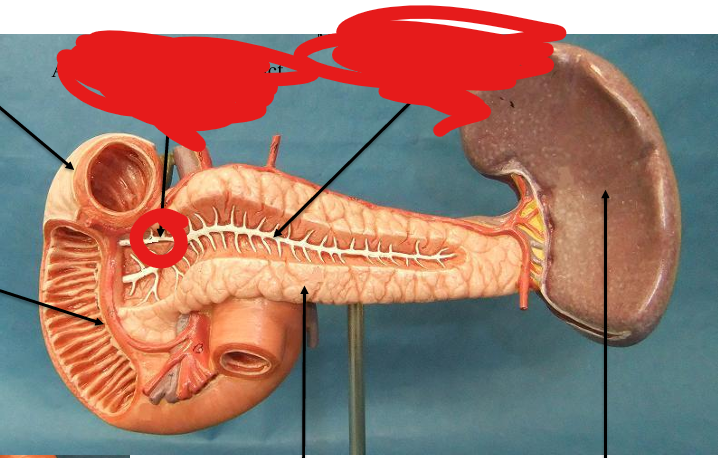 <p>What is this structure </p>