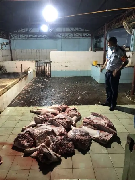 <p>(n) sự giết mổ động vật</p>