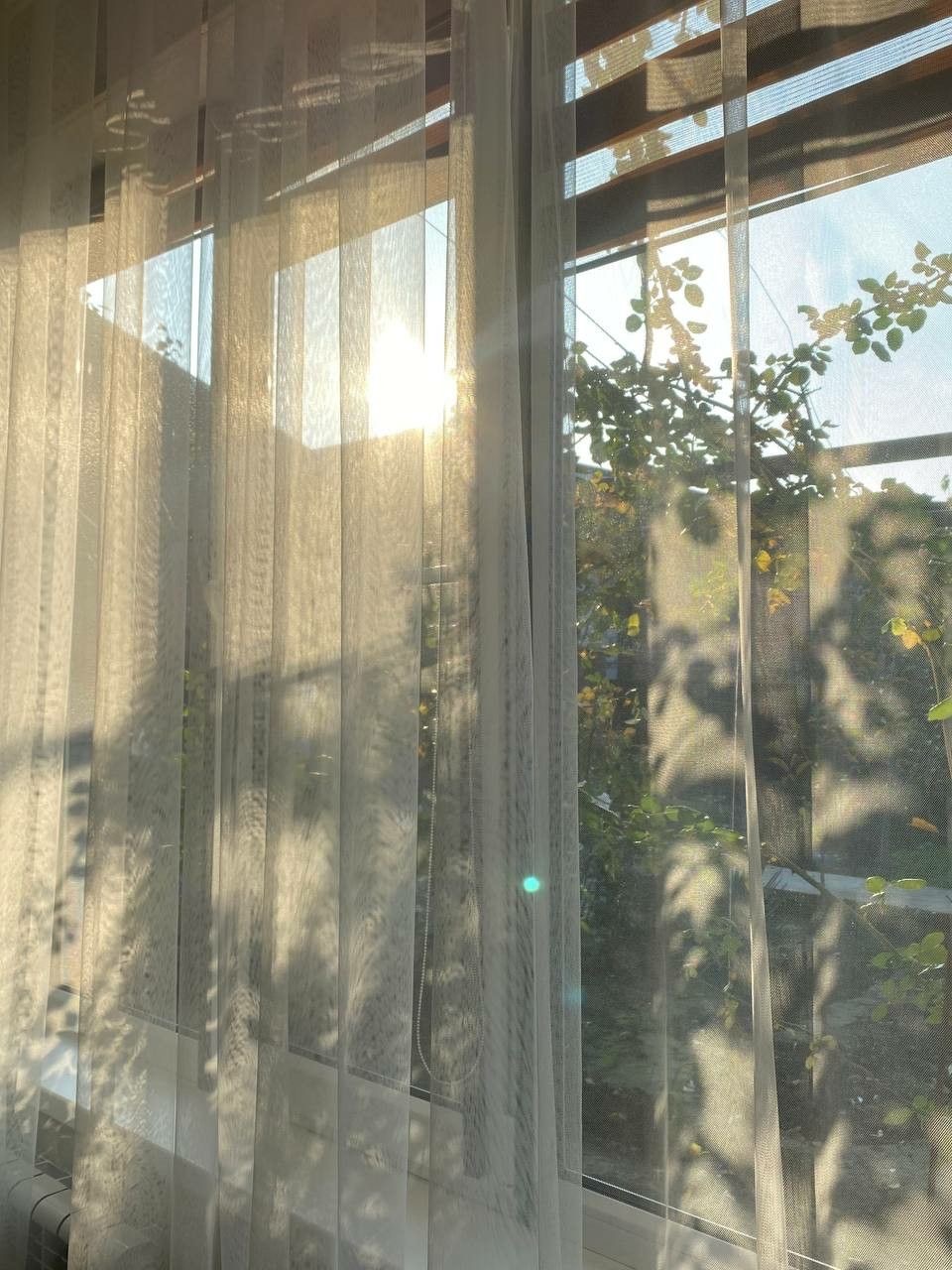 <p>morning</p>
