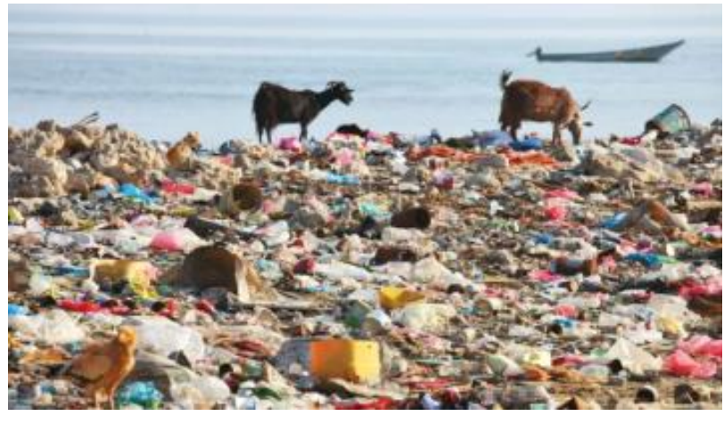 <p>Aquatic and terrestrial environments</p><ul><li><p>Large and tiny fragments of plastic.</p></li></ul><p></p>
