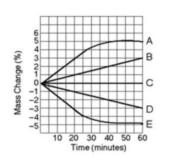 <p><span style="line-height: 1.5;">29. Five dialysis bags, constructed of a type of membrane that is permeable to water and impermeable to sucrose, were filled with various concentrations of sucrose and then placed in separate beakers containing an initial concentration of 0.6 M sucrose solution. At 10-minute intervals, the bags were massed (weighed), and the percent change in mass of each bag was graphed. Observe the graph below. Which line in the graph represents the bag with the highest initial concentration of sucrose?</span></p><p><span style="line-height: 1.5;">A. A</span></p><p><span style="line-height: 1.5;">B. B</span></p><p><span style="line-height: 1.5;">C. C</span></p><p><span style="line-height: 1.5;">D. D</span></p>