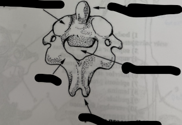 <p>what is this </p>