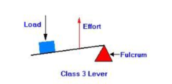 <p>Lever, Fulcrum, effort, load</p>