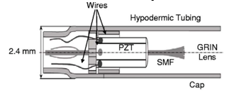 <p>Forward looking probes for optical biopsy (OCT application)</p>
