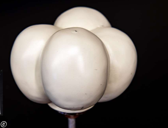 <p>What is this? </p>