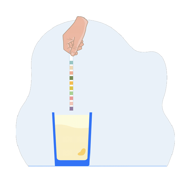 <p><strong>Urine</strong> is <strong>95% Water</strong> and <strong>5% Solutes</strong></p>