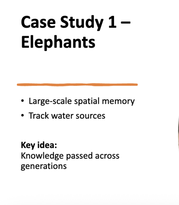 <p>CASE STUDIES explain this  (flip)</p>