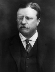 <p>Theodore Roosevelt</p>