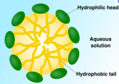 <p>surfactant molecules that arrange themselves in a spherical form in aqueous solutions; the formulation is a response to the amphipathic nature</p><p>Ex: polysorbates, polyoxyethylated caster oil, polyoxyethylated glycerides, lauroyl macroglycerides, and mono- and di-fatty acid esters of low molecular weight polyethylene glycols</p>