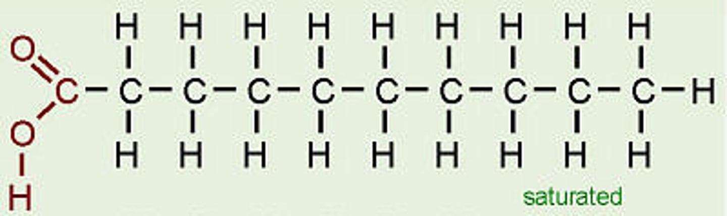 <p>molecule in lipids in which carbon atoms are bonded to as many hydrogen atoms as possible</p>