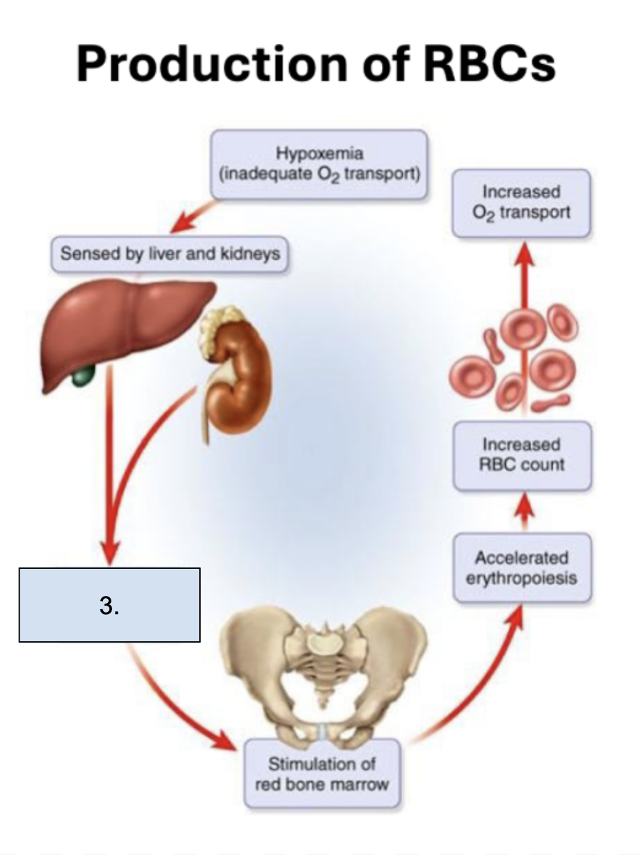 <p>What is happening in this step?</p>