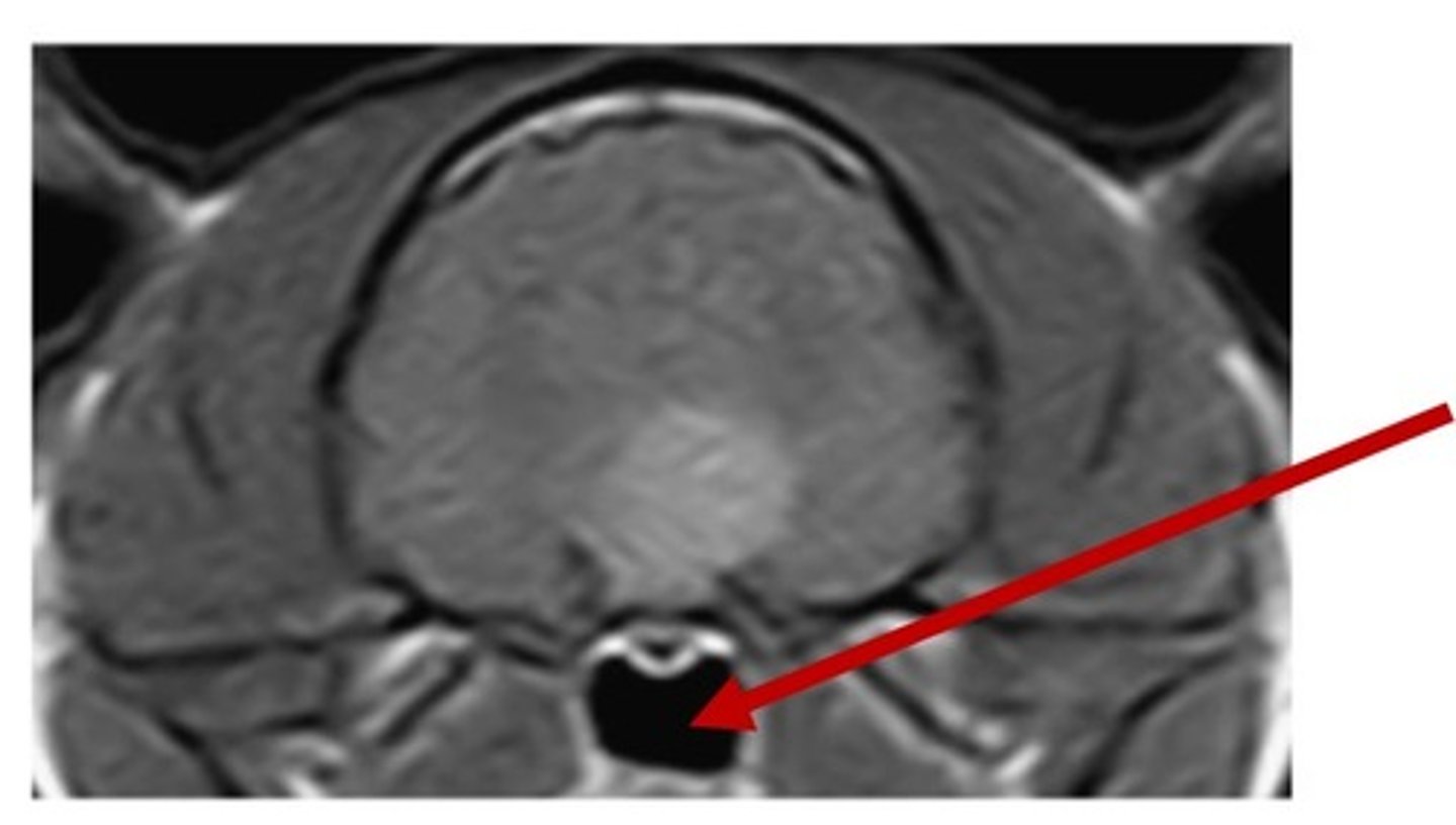 <p>False</p>