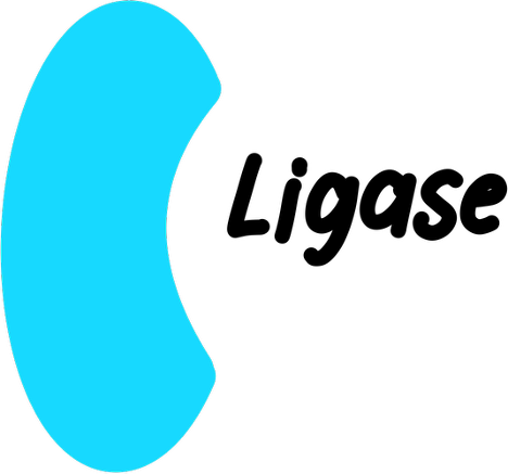 <p>What is the function of <strong>Ligase</strong>? </p>