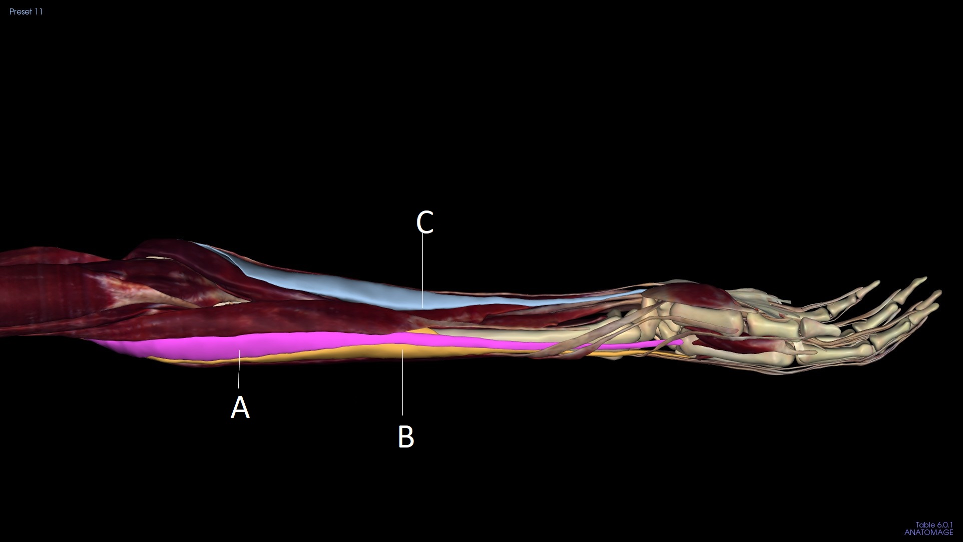 <p>A</p>
