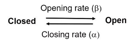 <p>Opening and Closing Rate of an Ion Channel</p>