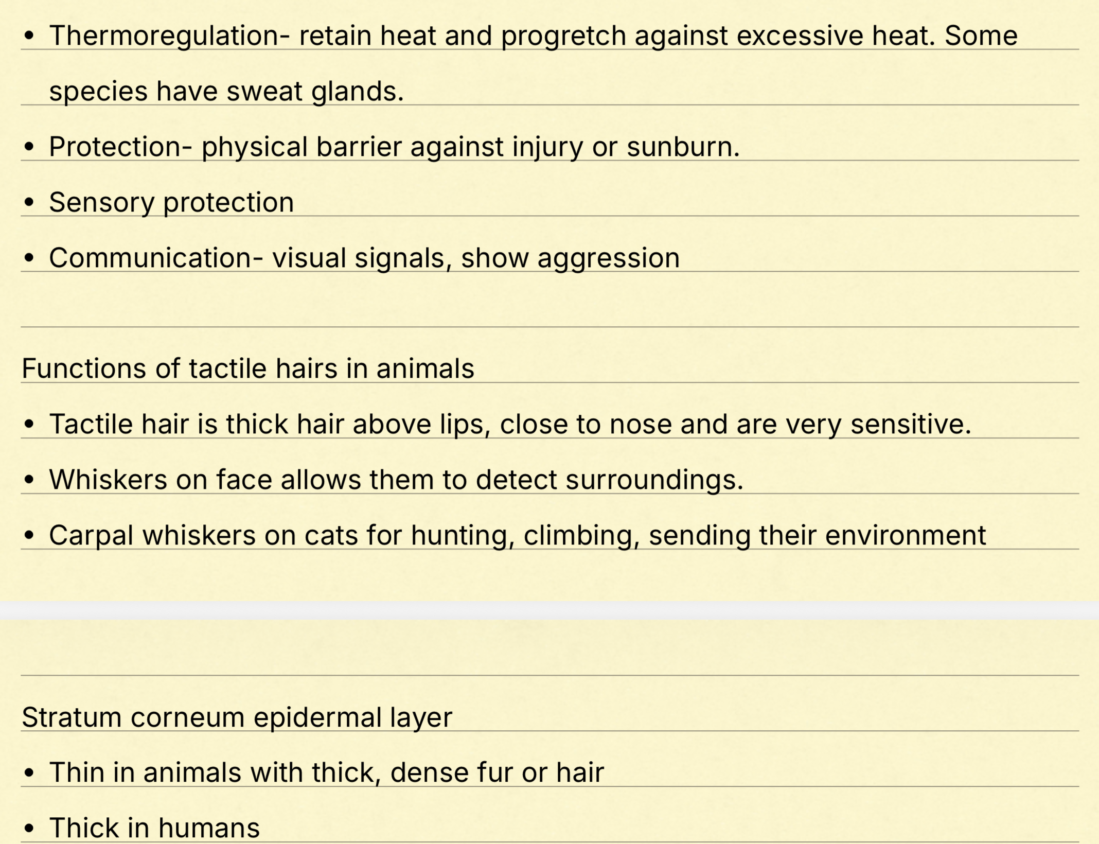 knowt flashcard image