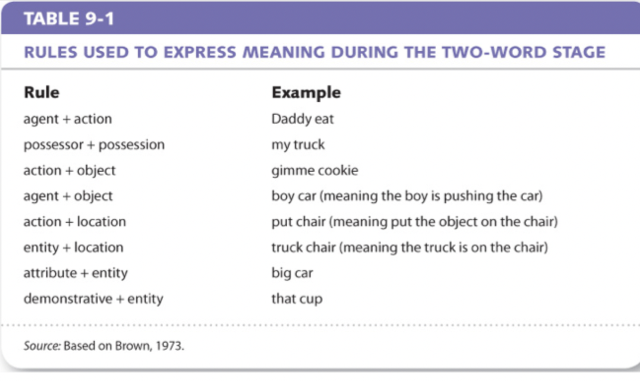 <ul><li><p>Speech is often <strong>telegraphic</strong> in 18-24 month olds in that it consists of only words relevant to meaning with little or no grammar</p></li></ul><p></p><ul><li><p>At about 1½ years of age, children begin to combine individual words to create two-word sentences, like “more juice,” “gimme cookie,” “truck go,” “my truck,” “Mommy go,” “Daddy bike.</p></li><li><p><strong>Telegraphic speech</strong>: consists only of words directly relevant to meaning </p></li></ul><p></p><ul><li><p>When children are in the two-word stage, they use several basic rules to express meaning</p><ul><li><p>For example, “Daddy eat”<em> </em>and<em> </em>“Mommy fall” illustrate the rule agent + action; “gimme juice” and “push truck” illustrate the rule action + object.</p></li></ul></li></ul><p></p>