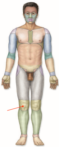 <p>what is this section called?</p>