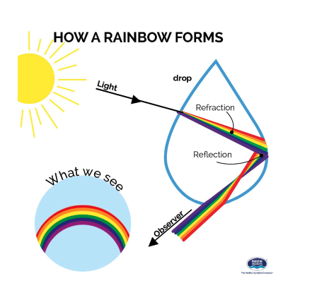 <p>refraction of sunlight and TIR within water droplets result in rainbows</p><ul><li><p>as light enters a raindrop, it disperses (each colour in the visible light spectrum travels at difference speeds— violet is the slowest and red is the fastest)</p></li><li><p>when light hits the other side of the raindrop, refraction and TIR occur and the reflected light disperses when it exits the raindrop</p></li><li><p>refracted light is what the eye sees as the rainbow (sun must be behind eye for this to occur)</p></li></ul><p></p>