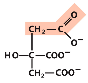 <p>What is this structure?</p>
