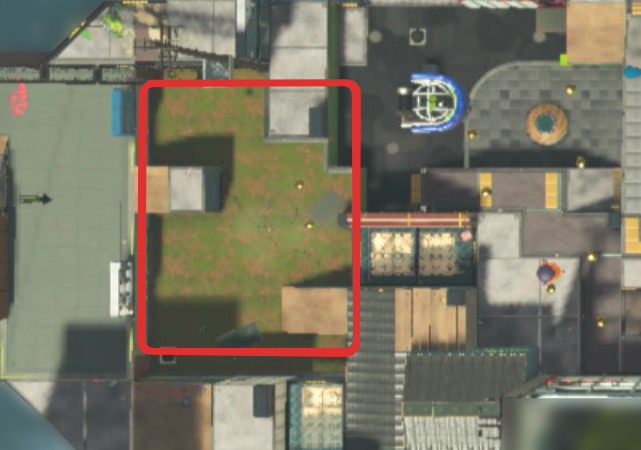 term image