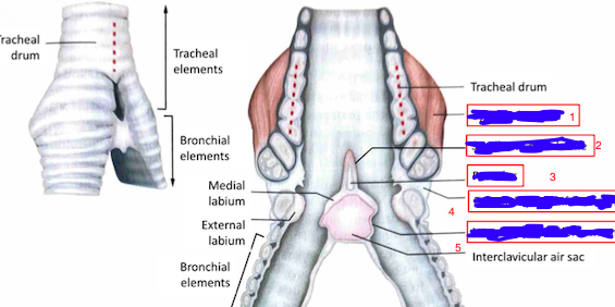 <p>What is the part labeled number 1</p>
