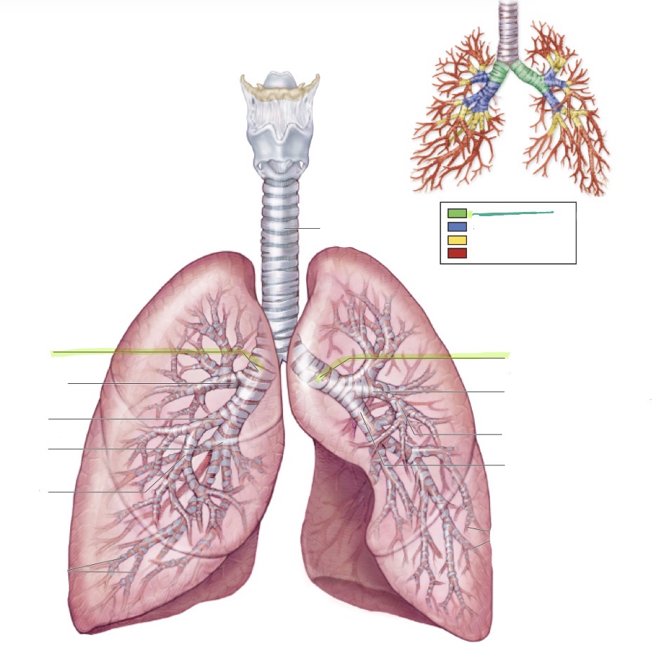 <p>what is this </p>