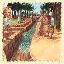 <p>Providing of water other than precipitation to crops</p>