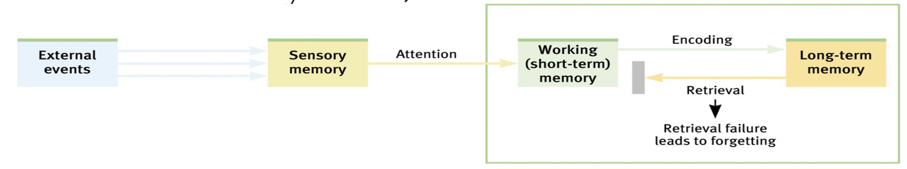 <p><span><span>Although the information is retained in the memory store, it cannot be accessed.</span></span></p>