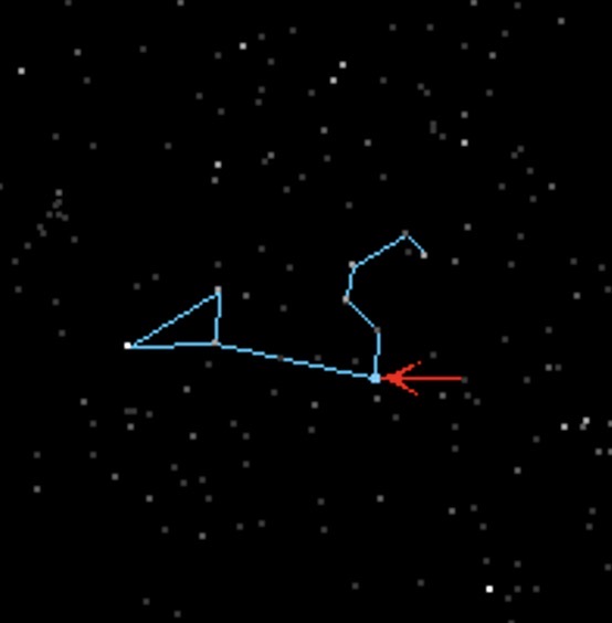 term image