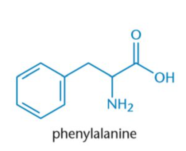 <p>Phe, F</p><p>Aromatic</p><p>Nonpolar</p>