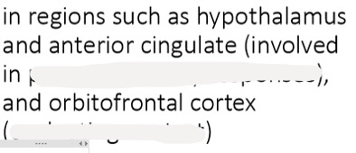 <p>Amygdala activity also enhances activity in these regions – can you define what these regions are responsible for (think what hypothalamus regulates and think orbito like our orbit)</p>