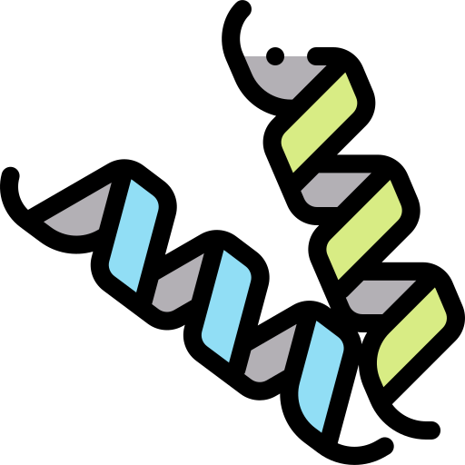 <p>Name the five functions of <strong>proteins</strong>.</p>