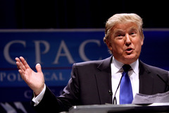 <p>Donald Trump</p>