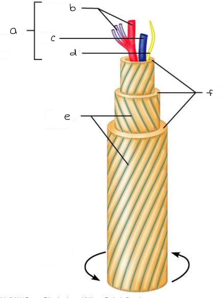 <p>what is f?</p>