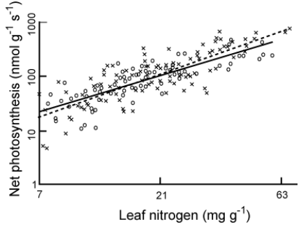 <p>Growth-limiting factors: #4. Nutrients?</p>