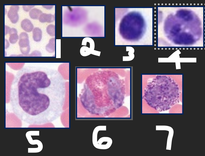 <p>1</p>