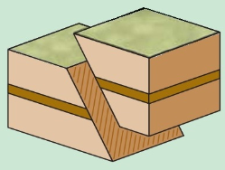 <p><strong>Faults</strong><span> are planar deformation features of natural origin on which sliding occurs. Which of the following </span><strong>types of faults</strong><span> is indicated in the figure below?</span></p>