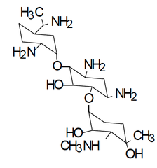 <p>example of</p>