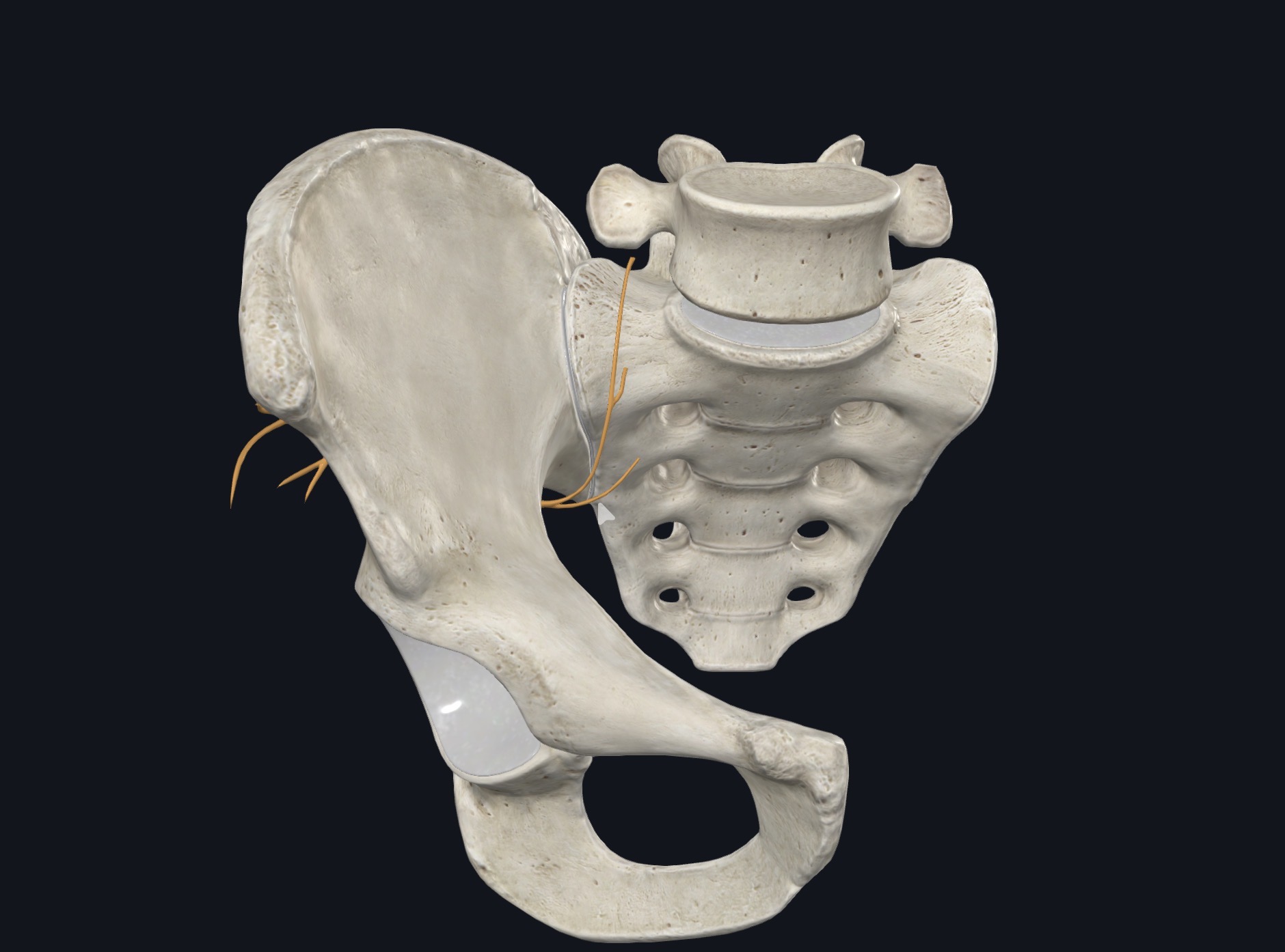 <p>¿Qué es esto?</p>