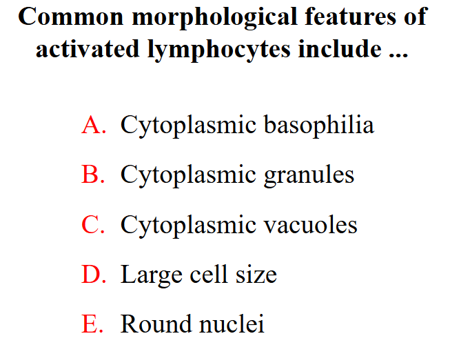 <p>Common morphological features of activated lymphocytes include (2 answers)</p>